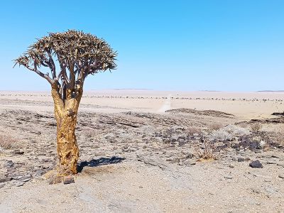 Namibia